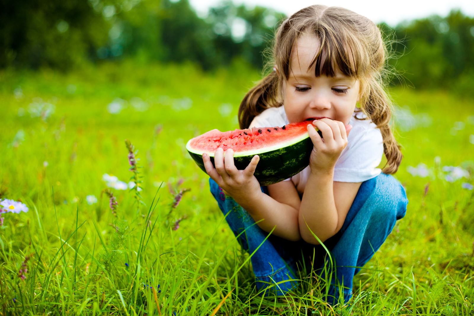 Tầm quan trọng của dinh dưỡng trong việc phát triển của trẻ